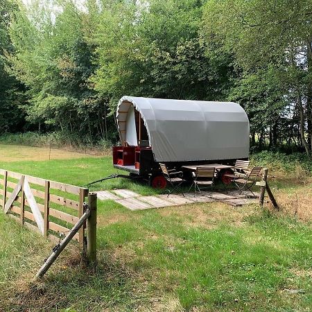 Huifkar In Landelijke Omgeving De Mersken 9 Ureterp Kültér fotó