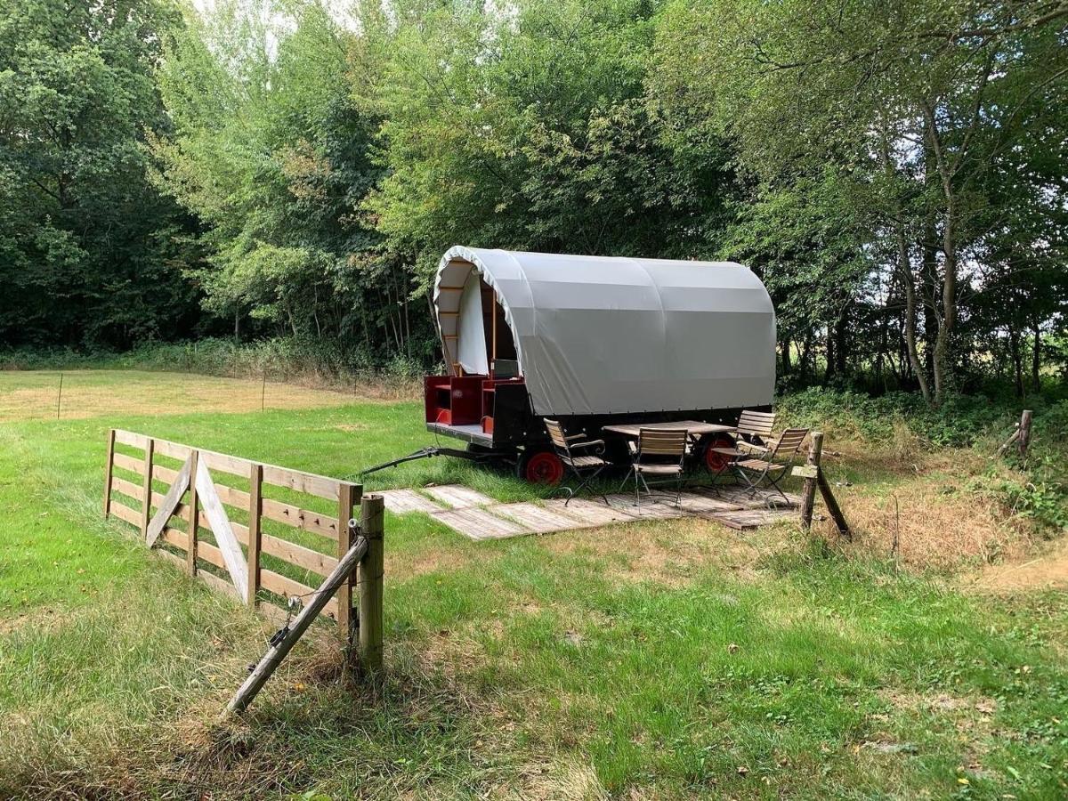 Huifkar In Landelijke Omgeving De Mersken 9 Ureterp Kültér fotó